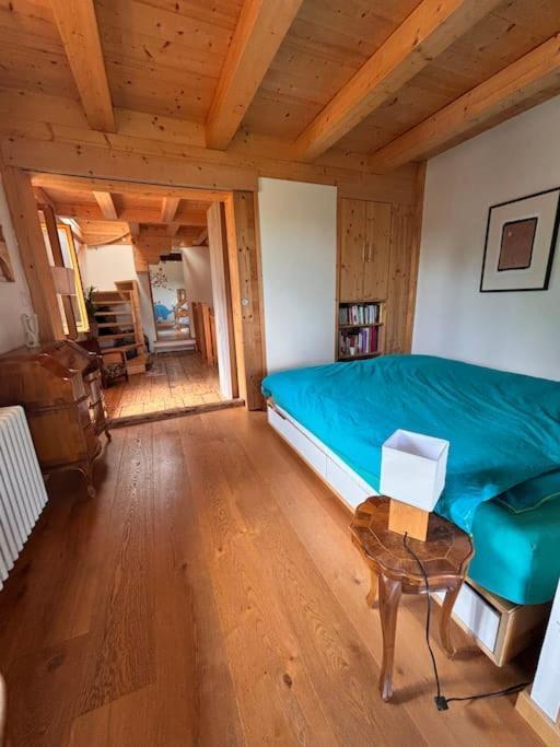 Villa Maison Atypique Au Calme Saint-Laurent (Haute-Savoie)